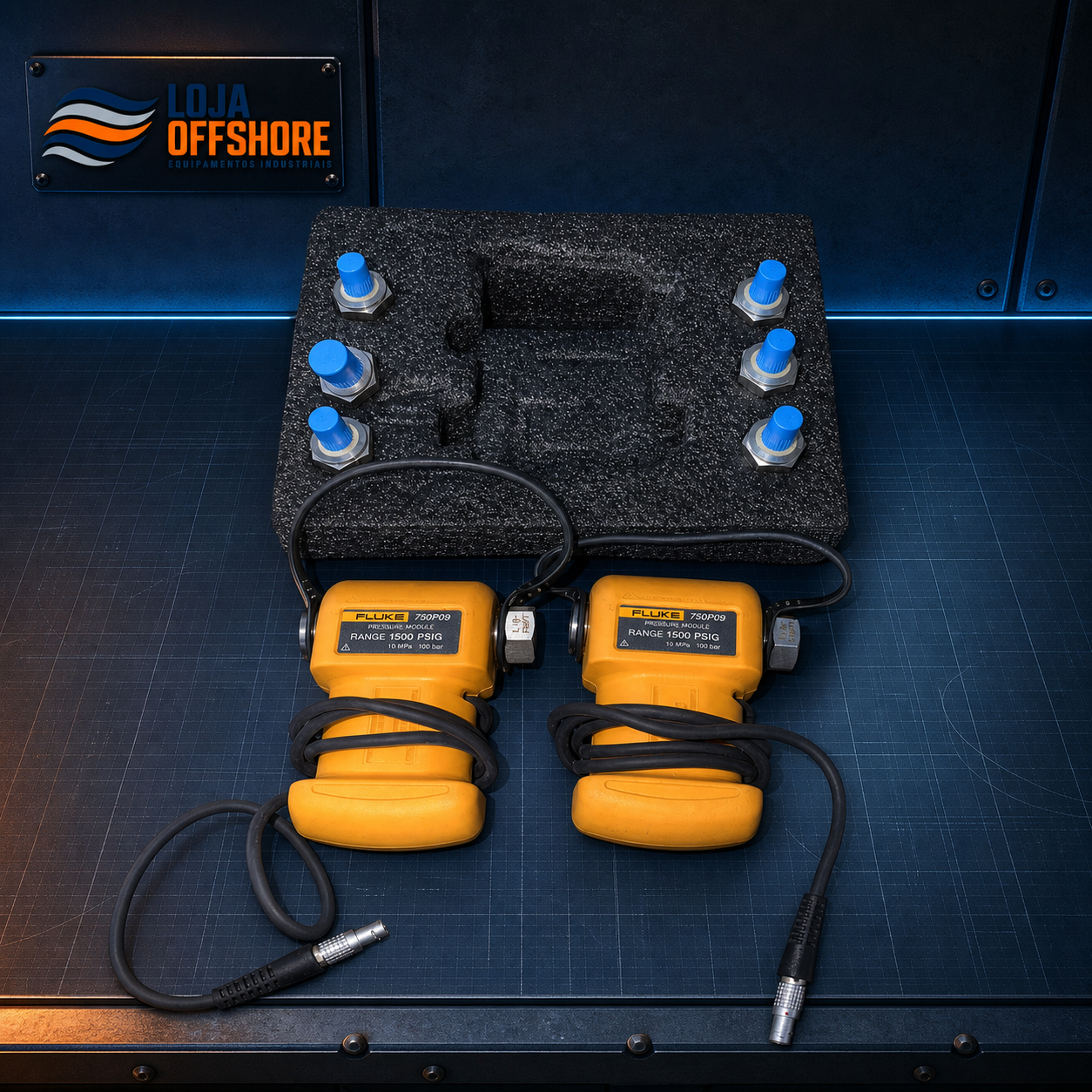 FLUKE 750P29 1500 PSIG — Loja Offshore